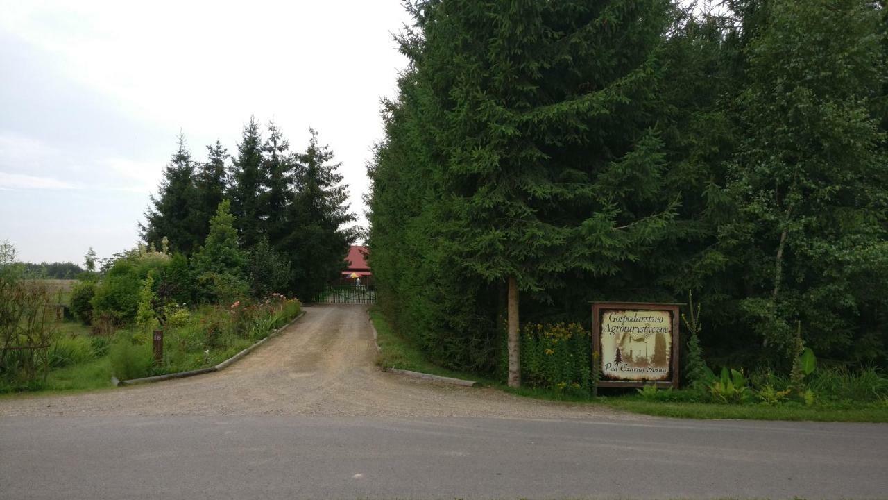 Agroturystyka Pod Czarna Sosna Bialy Lug Екстер'єр фото