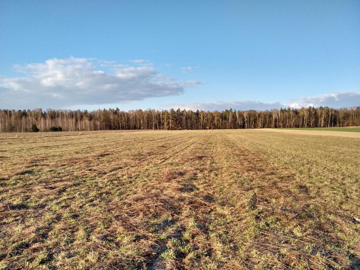 Agroturystyka Pod Czarna Sosna Bialy Lug Екстер'єр фото